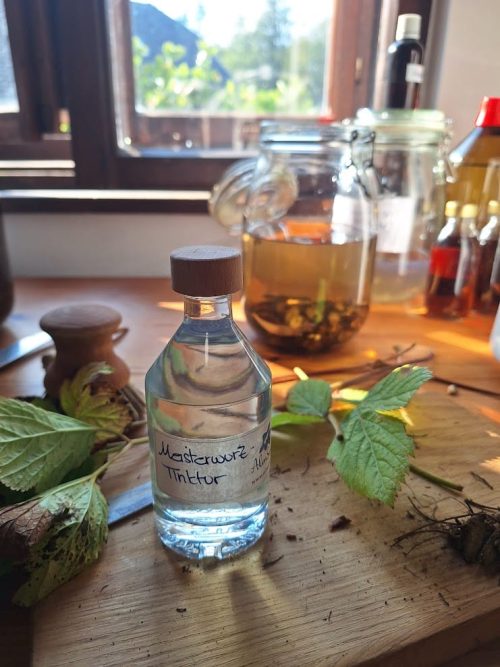 Meisterwurz Tinktur © AlmSinn Meisterwurz-Tinktur 100 ml